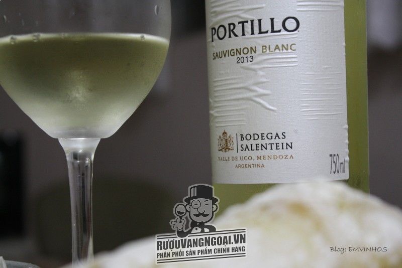 Kết quả hình ảnh cho vang argentina portillo sauvignon blanc salentein
