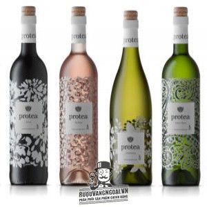 Rượu Vang Nam Phi PROTEA CABERNET SAUVIGNON bn1