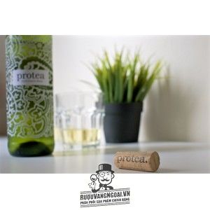 Rượu Vang Nam Phi PROTEA CHENIN BLANC bn3