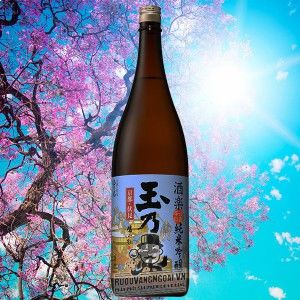 Rượu Sake Junmai Ginjo Shuraku 720 ML