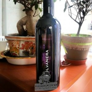 Rượu Vang Ý POLVANERA AGLIANICO bn3
