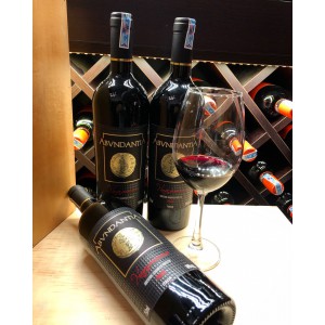 Rượu Vang Ý 16 ĐỘ ABVNDANTIA NEGROAMARO PUGLIA bn1