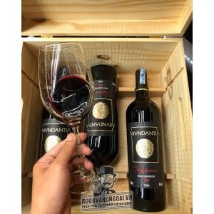 Rượu Vang Ý 16 ĐỘ ABVNDANTIA NEGROAMARO PUGLIA bn2