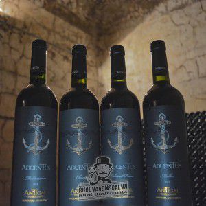 Rượu Vang Aduentus Antigal Blend Mendoza uống ngon bn2