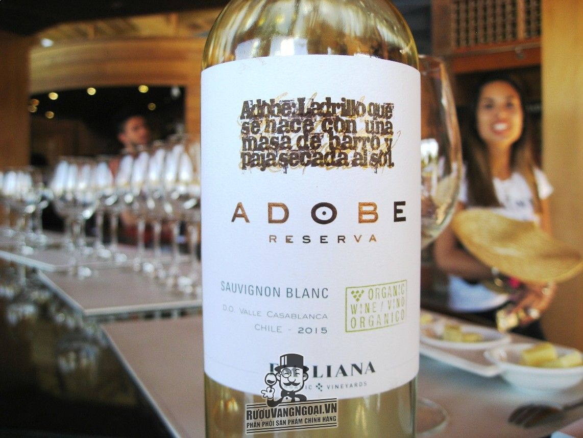 Kết quả hình ảnh cho adobe sauvignon blanc