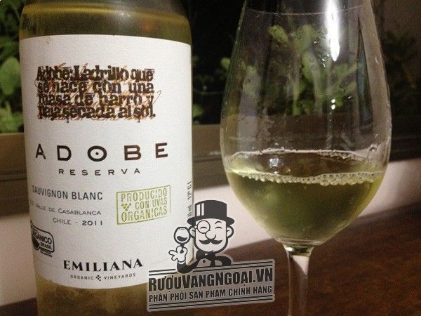 Kết quả hình ảnh cho adobe sauvignon blanc