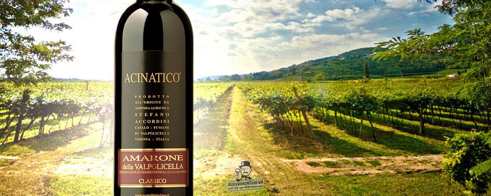 Vang Ý Acinatico Amarone Della Valpolicella