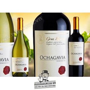 Vang Chile OCHAGAVIA Gran Reserva Chardonnay bn1