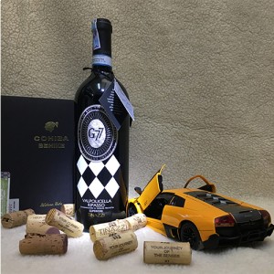 Vang ý G77 Valpolicella Ripasso Tinazzi bn2