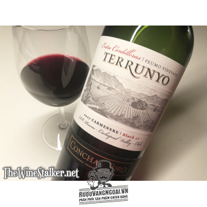 Vang Chile Terrunyo Carmenere Block 27 Concha Y Toro bn1