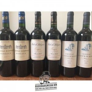 Rượu vang Pháp Chateau D‘Arsac Margaux Cru Bourgeois bn1