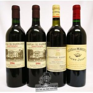 Vang Pháp Clos du Marquis Saint Julien bn2