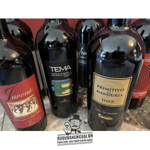 Vang Ý Juvenis Primitivo di Manduria DOP bn2