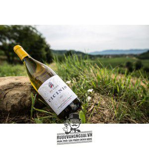 Rượu vang Attems Cicinis Collio bn2