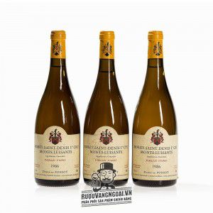 Vang Pháp Morey Saint Denis Clos des Monts Luisants Domaine Ponsot bn3