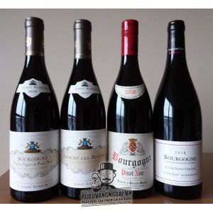 Vang Pháp Gevrey-Chambertin Albert Bichot bn3