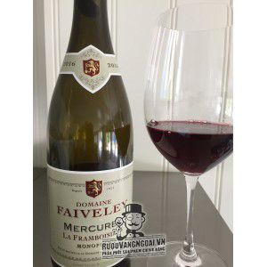 Vang Pháp Faiveley Bourgogne Đỏ - Trắng bn2