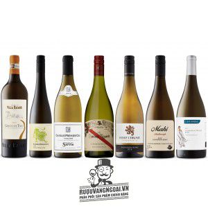 Rượu vang The Lucky Lizard Chardonnay Adelaide Hills bn3