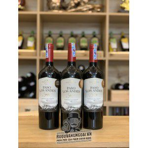 Vang Chile Paso Los Andes Reserva Red 14 độ bn1