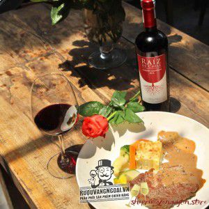 Vang Chile Raiz De Chile Cabernet Sauvignon bn1