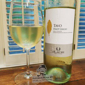 Vang Ý ILauri Tavo Pinot Grigio bn3