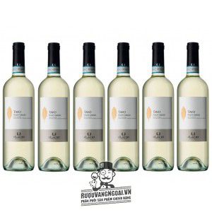 Vang Ý ILauri Tavo Pinot Grigio bn4