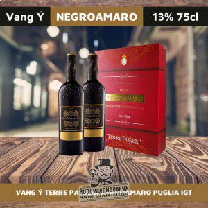 Rượu vang Terre Passeri uống ngon bn3