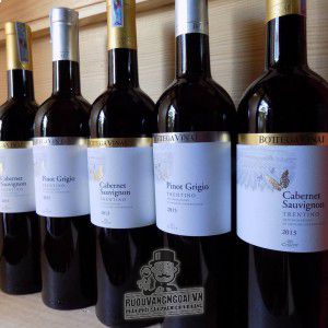 Vang Ý Bottega Vinai Pinot Grigio bn1