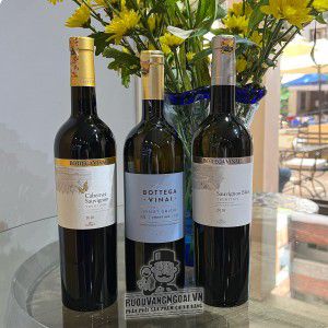 Vang Ý Bottega Vinai Pinot Grigio bn3