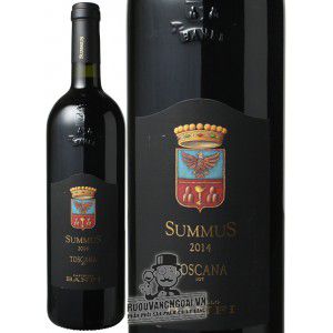 Vang Ý Summus Castello Banfi bn3