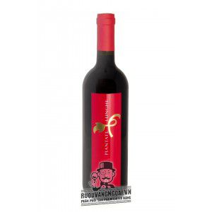 Rượu Vang Ý Piantate Lunghe Rosso Conero uống ngon bn2
