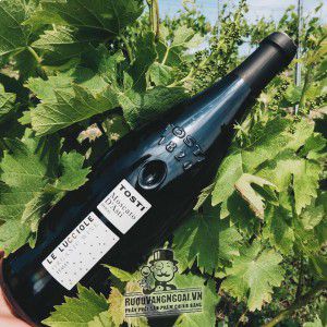 Rượu Vang Ý Tosti 1820 Le Luccione Moscato DAsti Organic cao cấp bn2