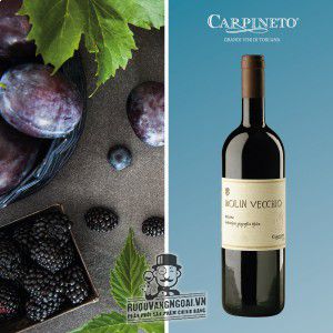Rượu Vang Carpineto Molin Vecchio cao cấp bn1