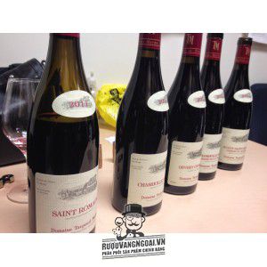 Vang Pháp Saint Romain Domaine Taupenot Merme cao cấp bn2
