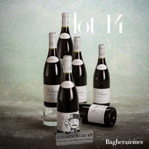 Vang Pháp Gevrey Chambertin Maison Leroy thượng hạng bn2