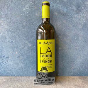 Vang Pháp La Gascogne Cotes de Gascogne Brumont uống ngon bn3