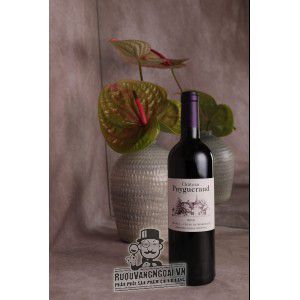 Vang Pháp Chateau Puygueraud Francs Cotes de Bordeaux uống ngon bn2