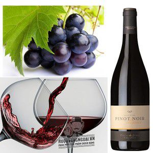Vang Pháp Pinot Noir Pays dOc Elegance uống ngon bn1