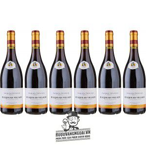 Vang Pháp Beaujolais Villages Pasquier Desvignes uống ngon bn1