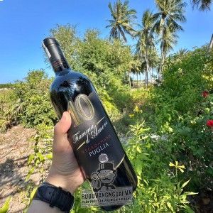 VANG Ý 10 FIAMMA D‘AMORE NEGROAMARO PUGLIA uống ngon bn2