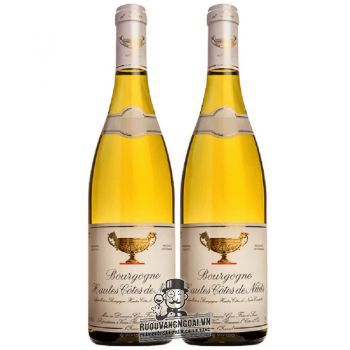 Vang Pháp Bourgogne Hautes Cotes de Nuits cao cấp bn2