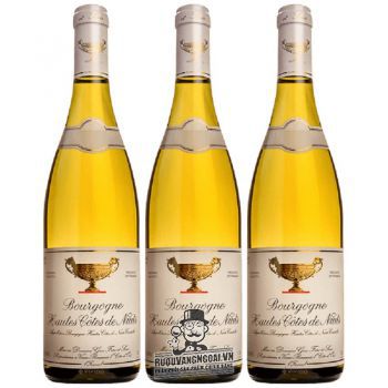 Vang Pháp Bourgogne Hautes Cotes de Nuits cao cấp bn1