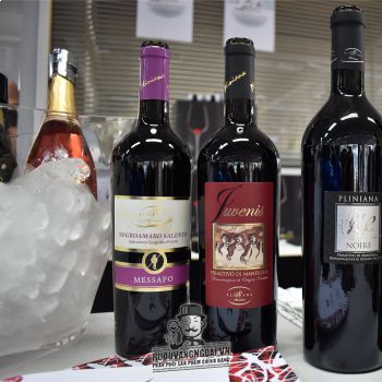 Vang Ý Messapo Negroamaro Salento bn3