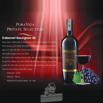 Rượu Vang Chile PURAVIDA PRIVATE SELECTION Cabernet Sauvignon 24 bn2