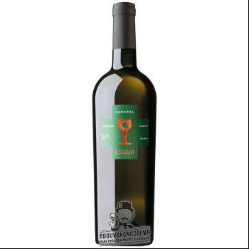 Rượu Vang Ý Chén thánh SCHOLA SARMENTI CANDORA CHARDONNAY bn2